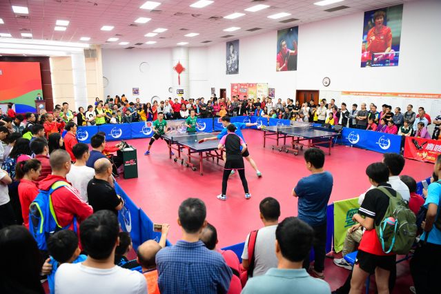 鹈鹕队主要 鹈鹕队主要