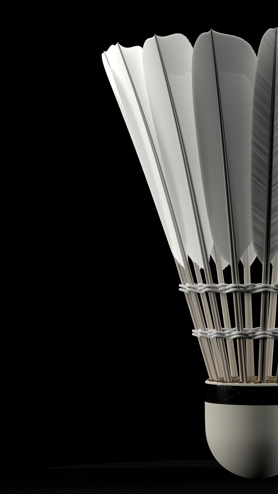 正式揭幕 正式揭幕