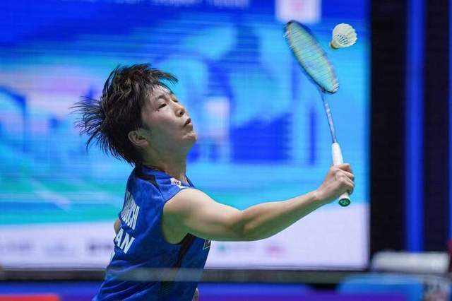 他的尊重与 他的尊重与